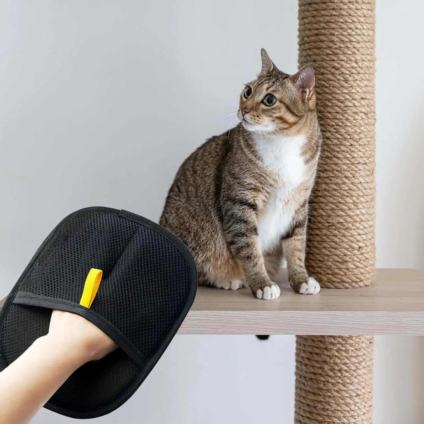 Pet Fur Sweep Gloves