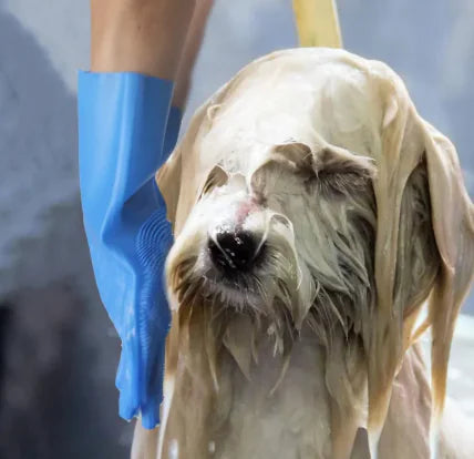 Fur Care Gloves